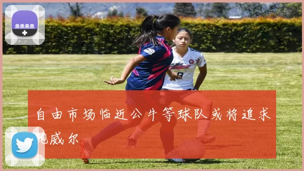 自由市场临近公牛等球队或将追求鲍威尔
