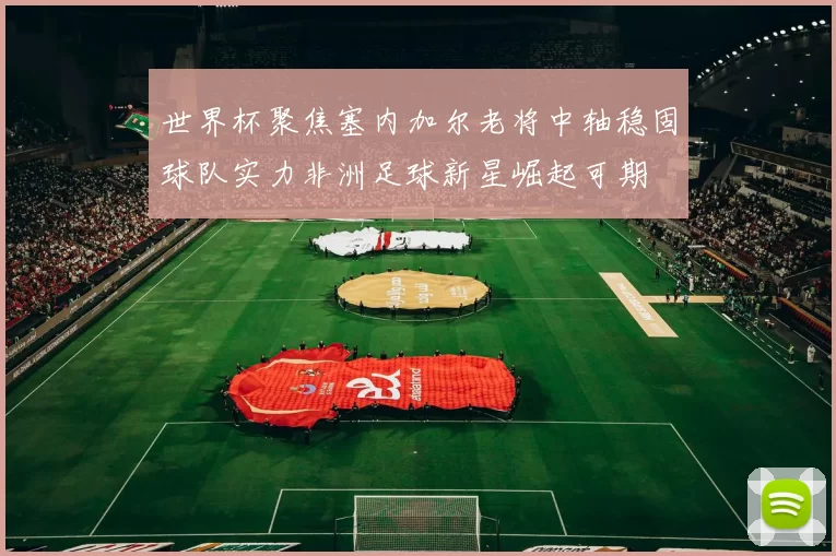 世界杯聚焦塞内加尔老将中轴稳固球队实力非洲足球新星崛起可期
